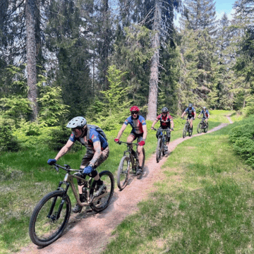 MTB reis Tour du Vosges